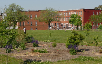 scientists and students at Baltimore Ecosystem Study LTER site